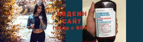 прущие грибы Ижевск