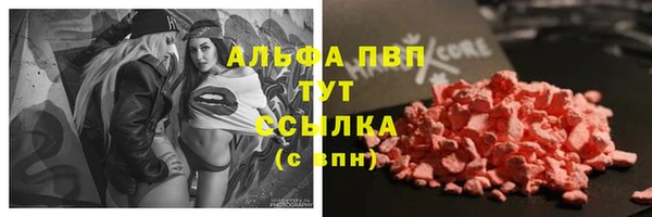 индика Заводоуковск