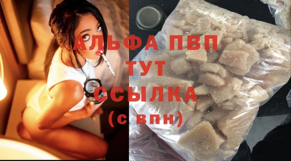 прущие грибы Ижевск