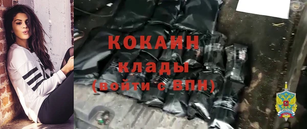 прущие грибы Ижевск