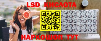 spice Донецк