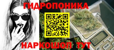 спиды Будённовск