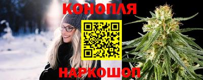 гашик Дубна