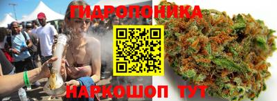 гашик Дубна