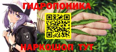 молекула духа Бузулук