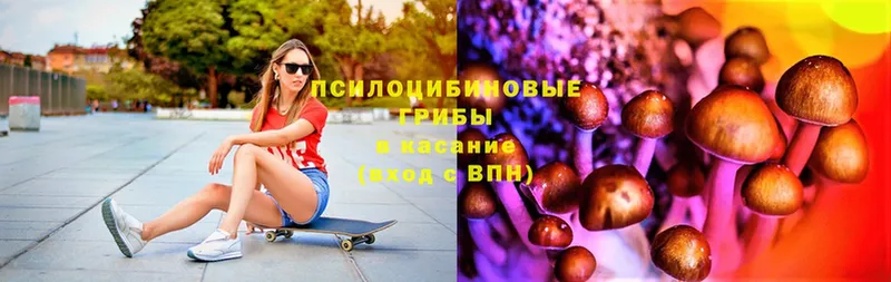 Галлюциногенные грибы прущие грибы  omg вход  Балашов 