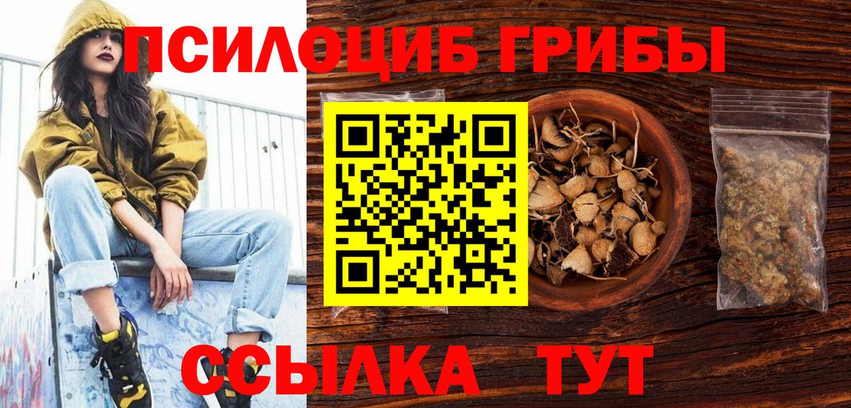 Псилоцибиновые грибы Psilocybine cubensis  Балашов 