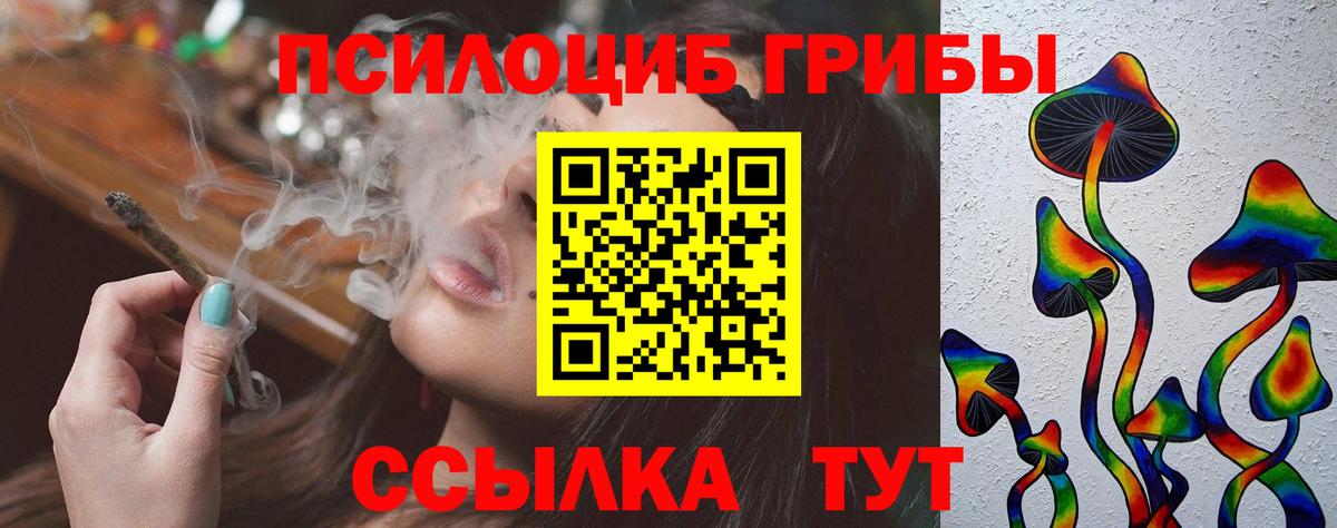 Псилоцибиновые грибы мицелий Балашов