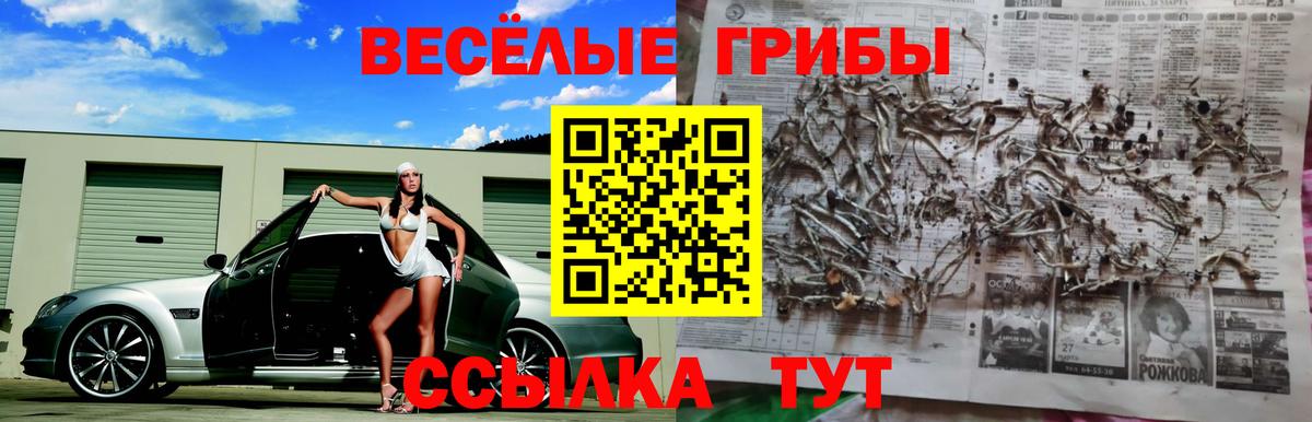 Галлюциногенные грибы MAGIC MUSHROOMS Балашов