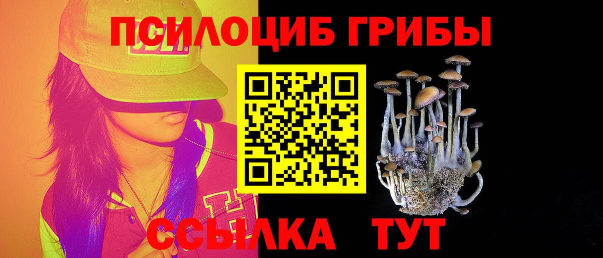 Галлюциногенные грибы прущие грибы  Вход с VPN  Балашов 