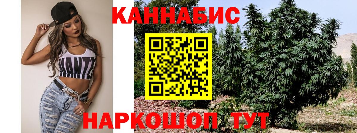 Бошки марихуана OG Kush Балашов